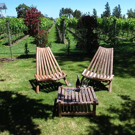 Villa In The Vines مارتينبوره المظهر الخارجي الصورة