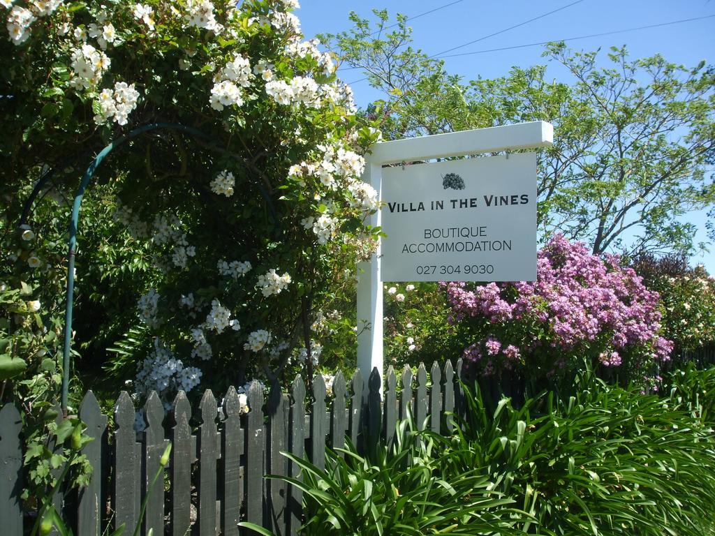 Villa In The Vines مارتينبوره المظهر الخارجي الصورة