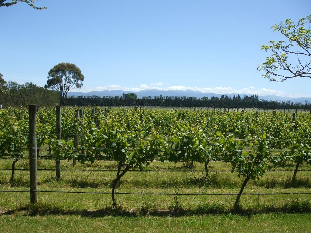 Villa In The Vines مارتينبوره المظهر الخارجي الصورة