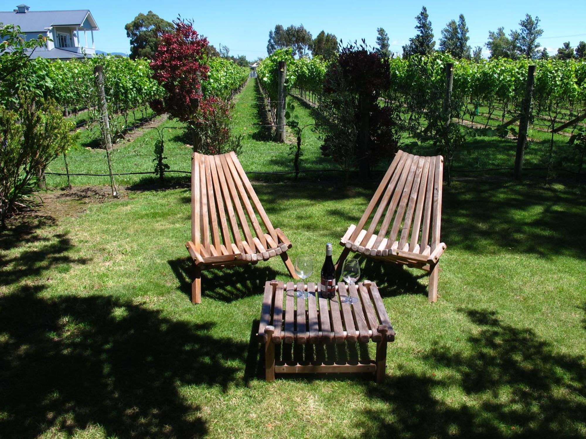 Villa In The Vines مارتينبوره المظهر الخارجي الصورة